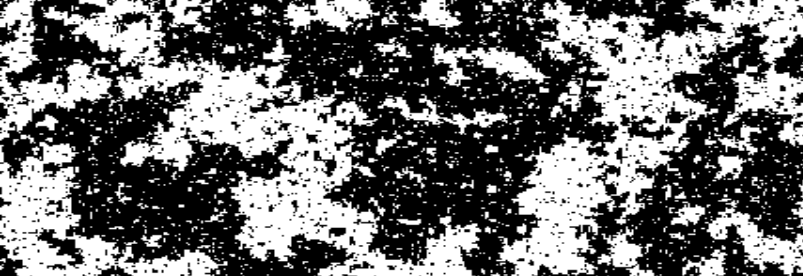 Probability and Mathematical Physics