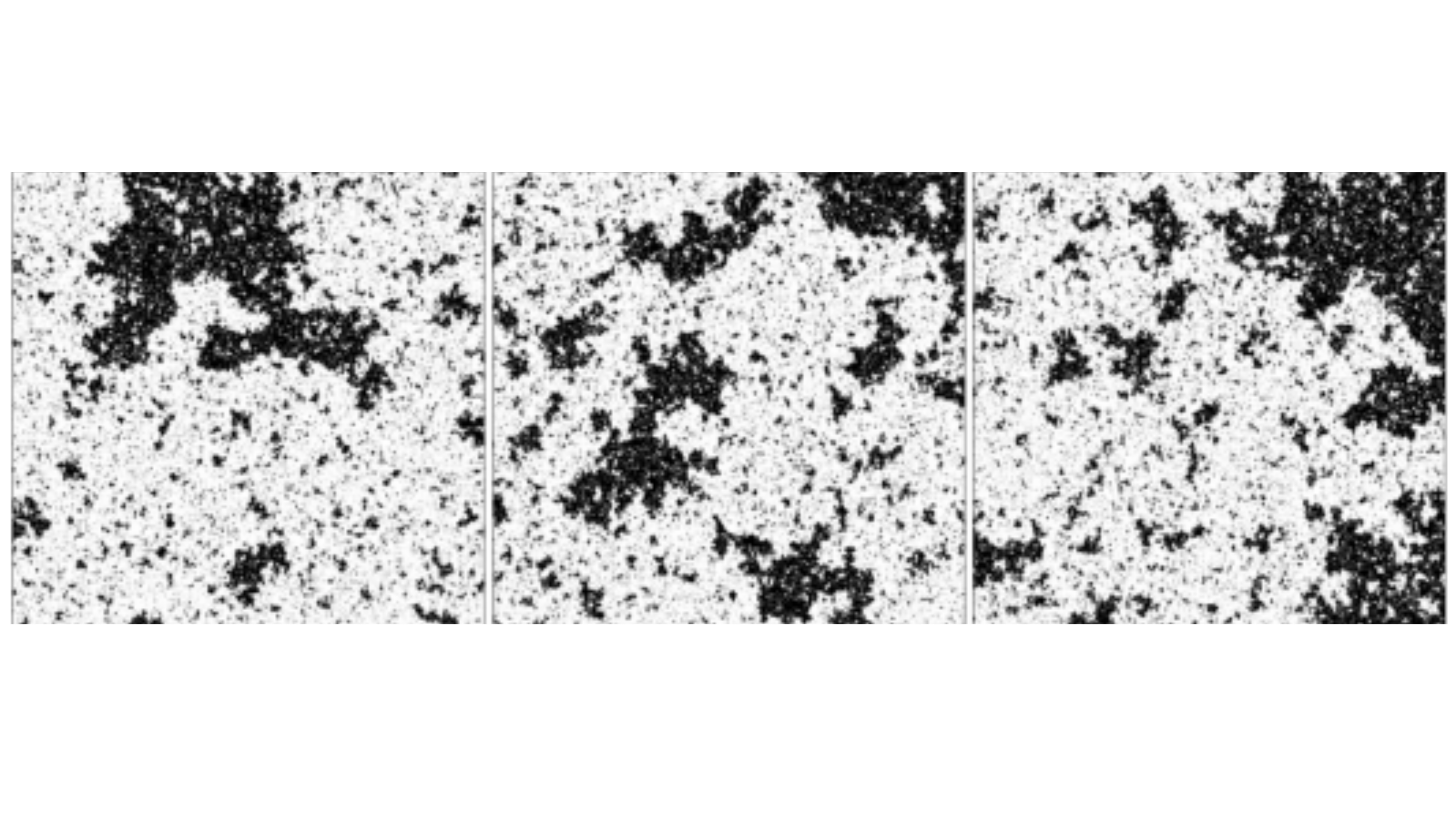 Probability and Mathematical Physics